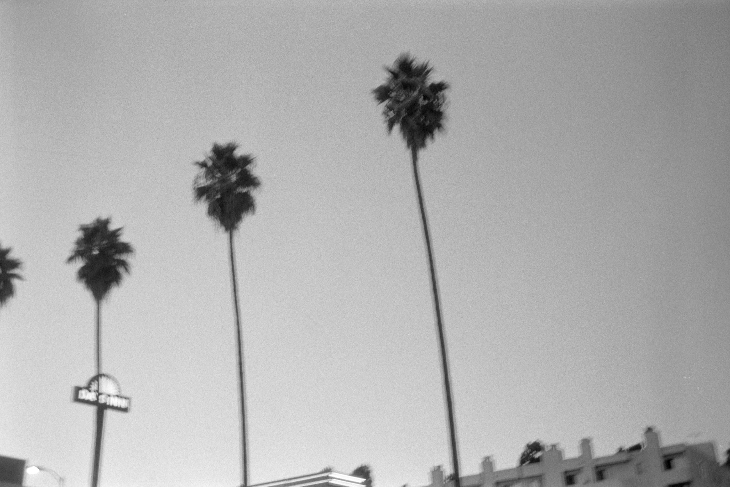 03 Los Angeles
